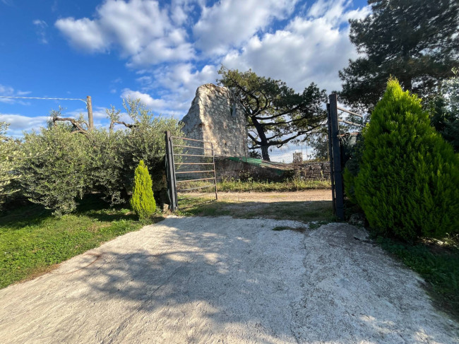 Terreno Agricolo in vendita a Vignanello
