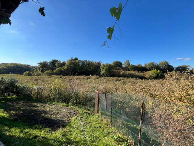 Terreno Agricolo in vendita a Vignanello