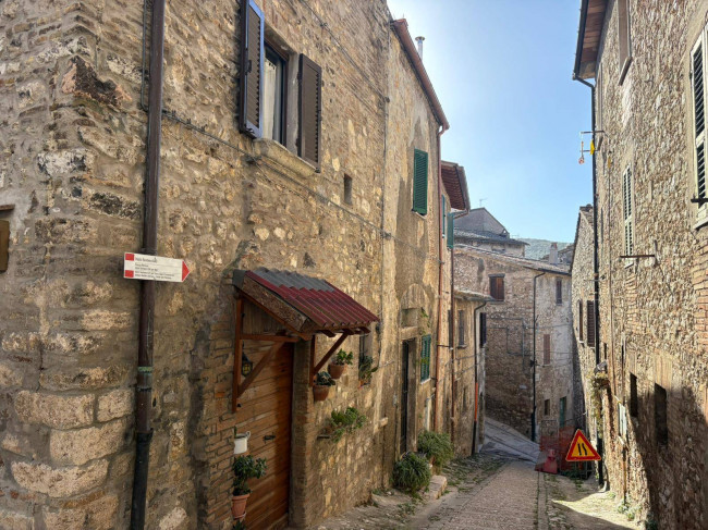 Cielo Terra in vendita a Narni