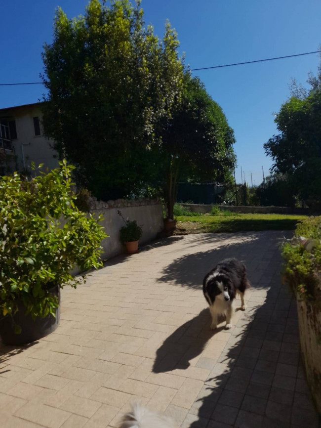 Casa singola in vendita a Narni