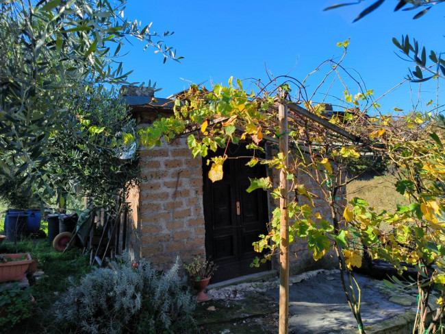 Terreno Agricolo in vendita a Vignanello
