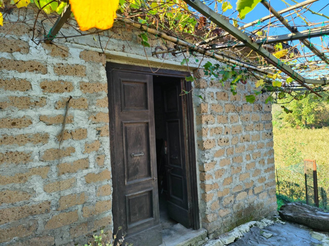 Terreno Agricolo in vendita a Vignanello