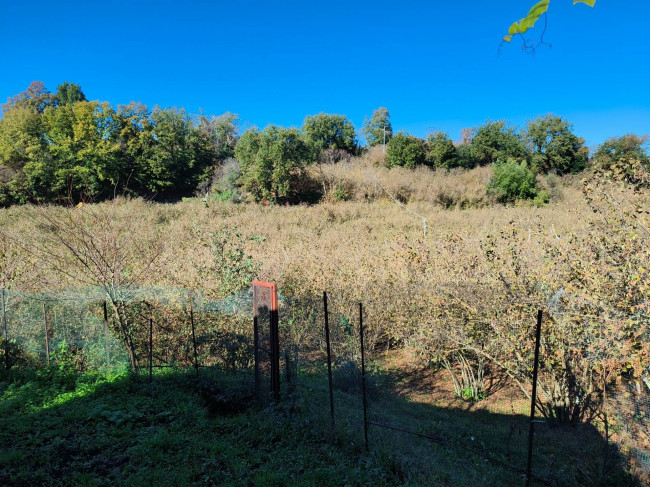 Terreno Agricolo in vendita a Vignanello