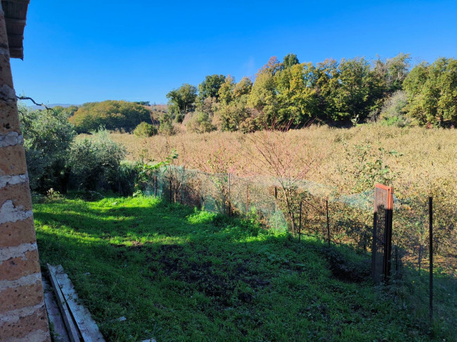 Terreno Agricolo in vendita a Vignanello