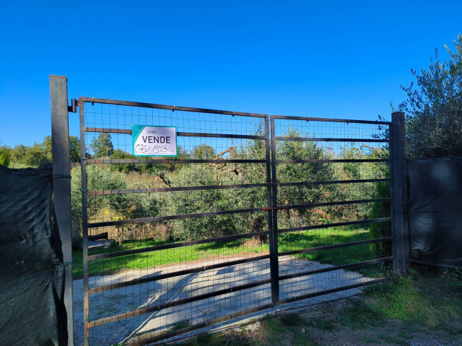 Terreno Agricolo in vendita a Vignanello