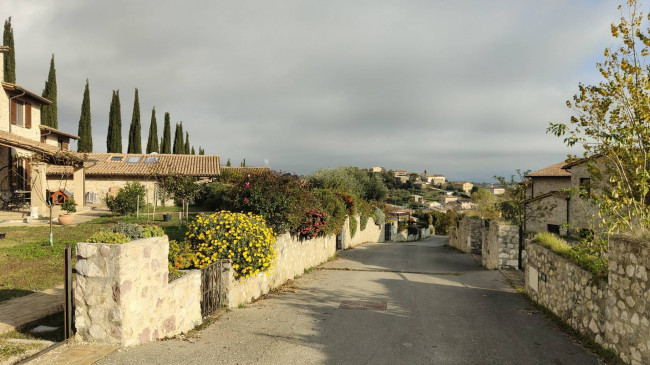 Villette a schiera in vendita a Avigliano Umbro