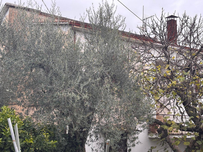 Villa in vendita a Amelia