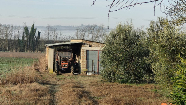 Casale in vendita a Attigliano
