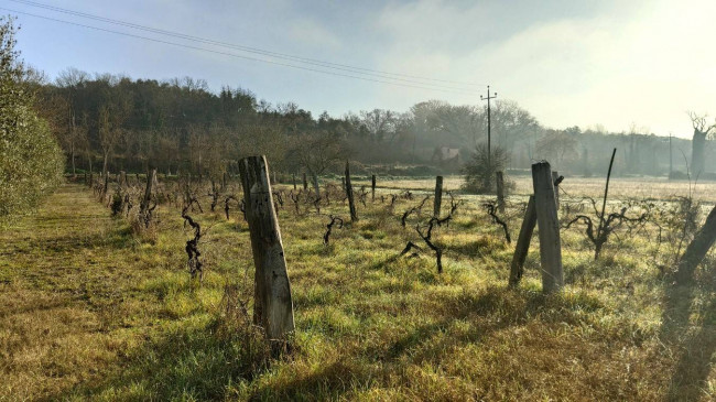 Casale in vendita a Attigliano