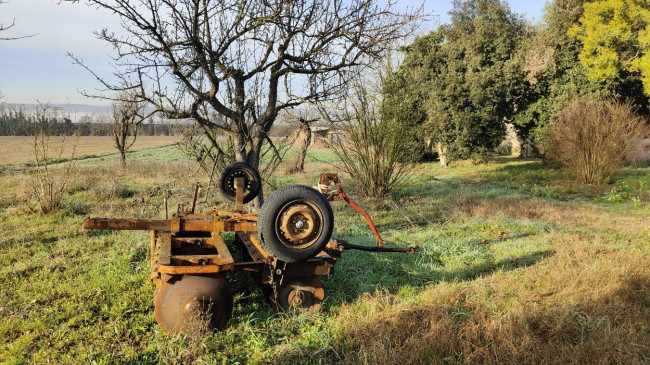 Casale in vendita a Attigliano