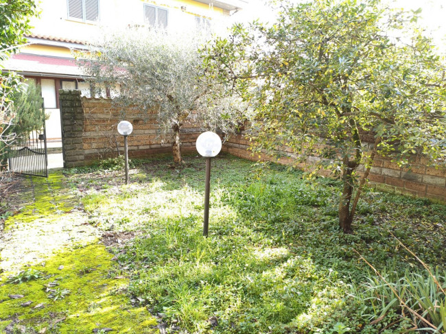 Villette a schiera in vendita a Vignanello