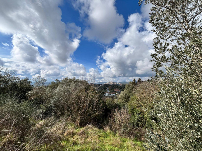 Altro in vendita a Amelia