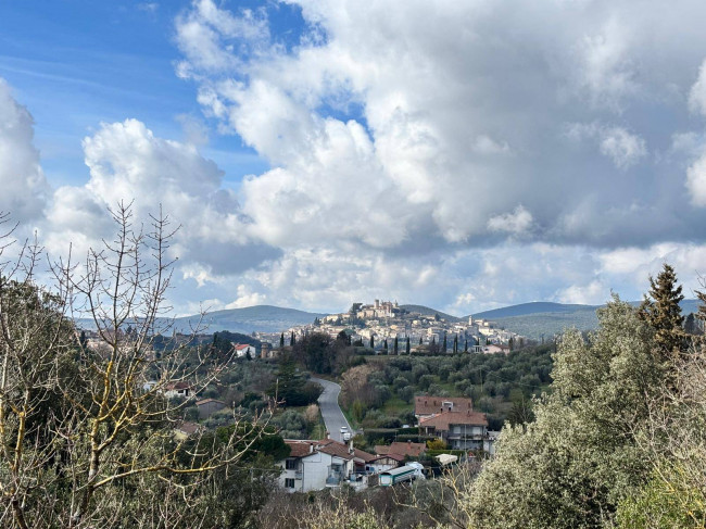 Altro in vendita a Amelia