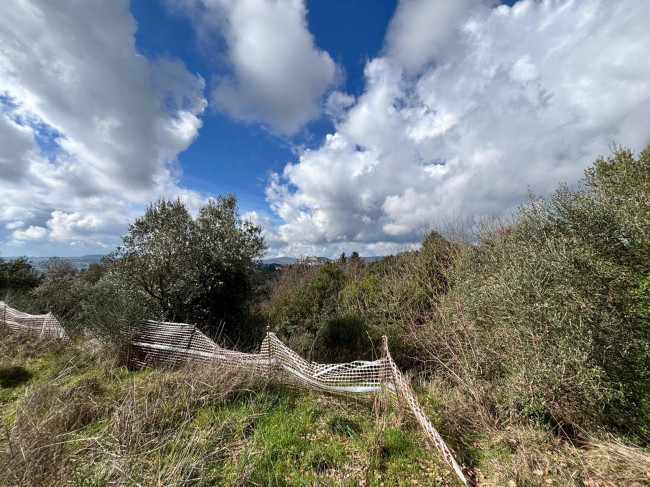 Altro in vendita a Amelia