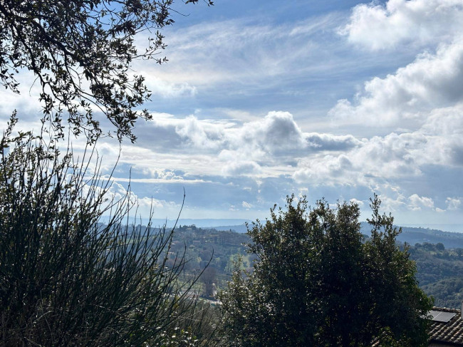 Altro in vendita a Amelia