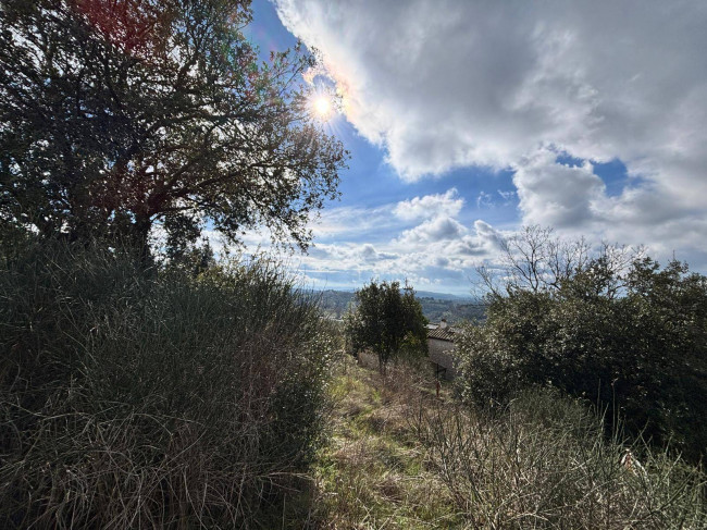 Altro in vendita a Amelia