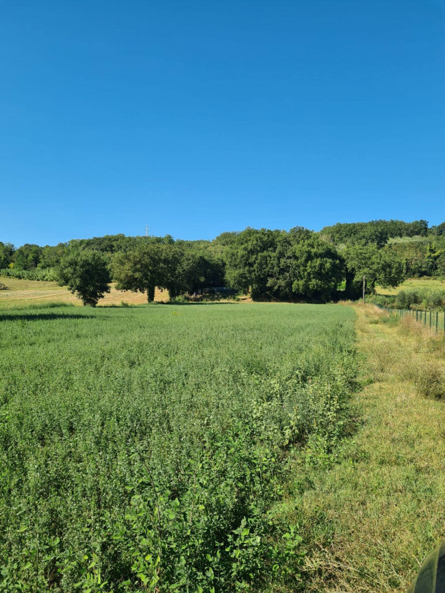 Terreno Agricolo in vendita a Orte