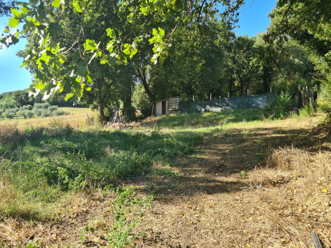 Terreno Agricolo in vendita a Orte