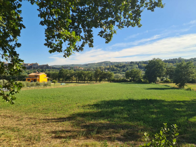 Terreno Agricolo in vendita a Orte