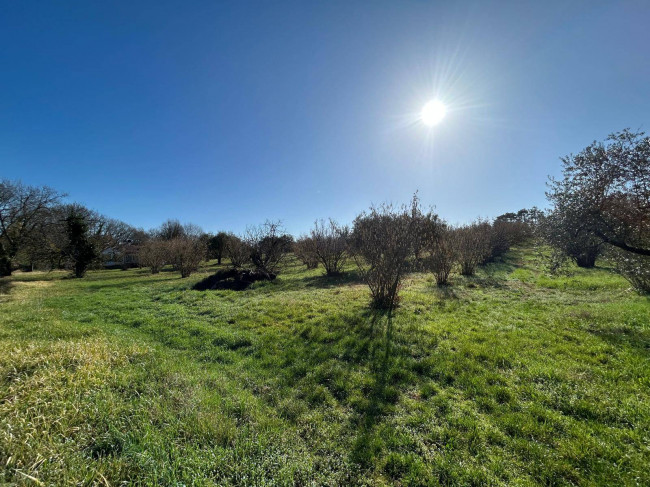 Terreno Agricolo in vendita a Vasanello