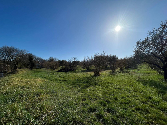 Terreno Agricolo in vendita a Vasanello