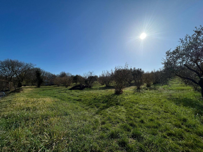 Terreno Agricolo in vendita a Vasanello