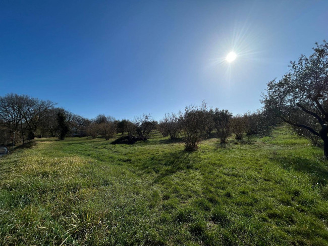 Terreno Agricolo in vendita a Vasanello