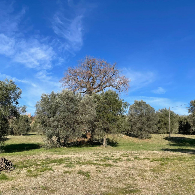 Casale in vendita a Amelia