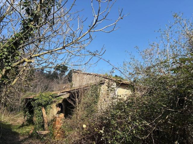 Casale in vendita a Narni