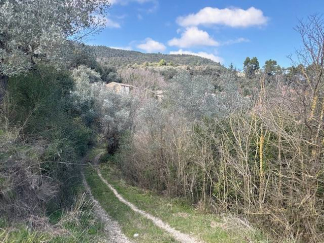 Casale in vendita a Narni