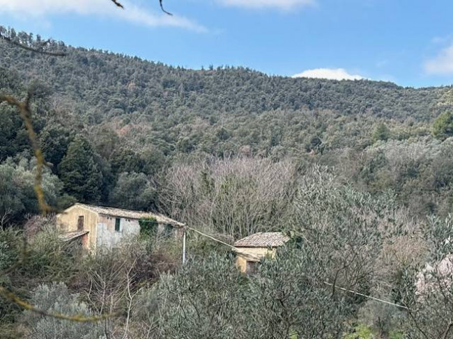 Casale in vendita a Narni