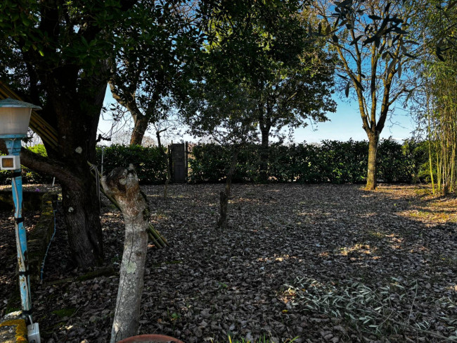 Casa singola in vendita a Bassano in Teverina