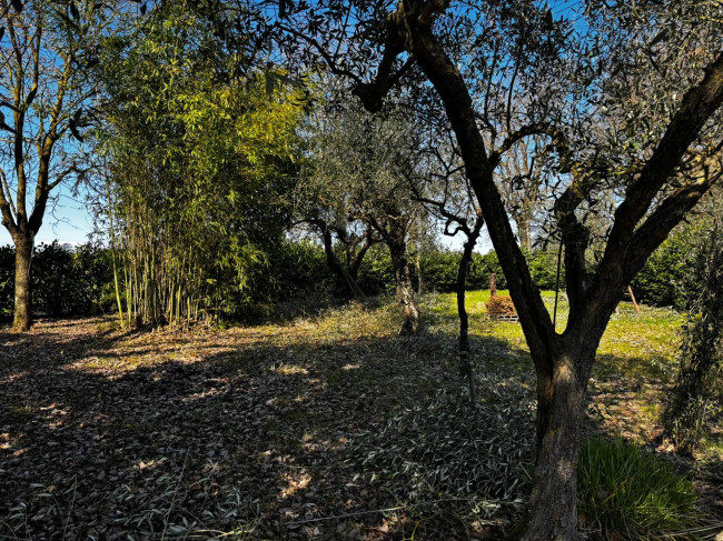 Casa singola in vendita a Bassano in Teverina