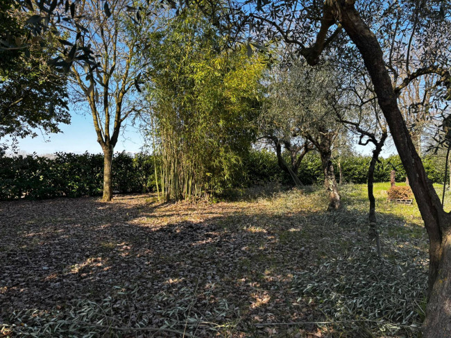 Casa singola in vendita a Bassano in Teverina