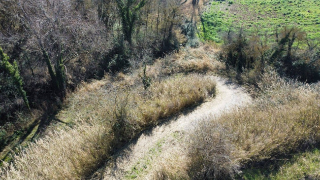 Rustico in vendita a Guardea