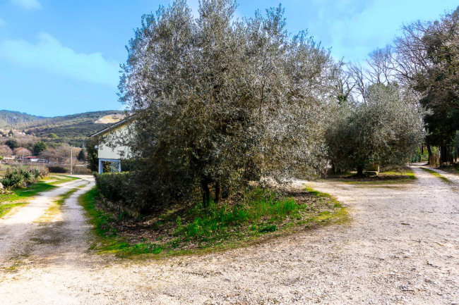 Casa singola in vendita a Narni
