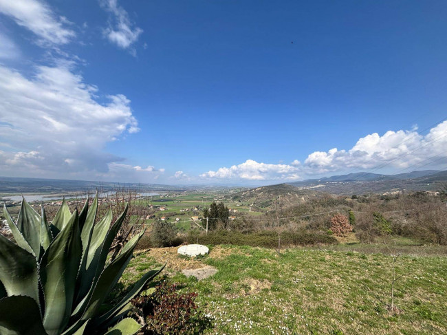 Villa in vendita a Alviano