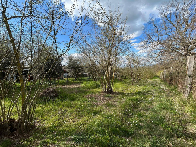 Agricultural Land for sale in Bassano in Teverina