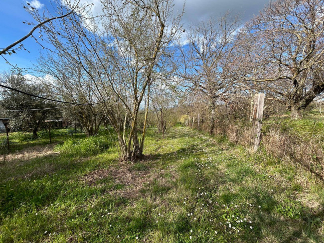 Agricultural Land for sale in Bassano in Teverina