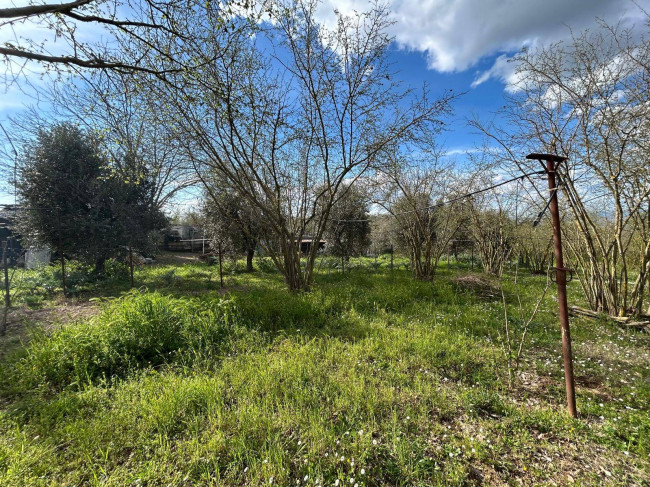 Agricultural Land for sale in Bassano in Teverina