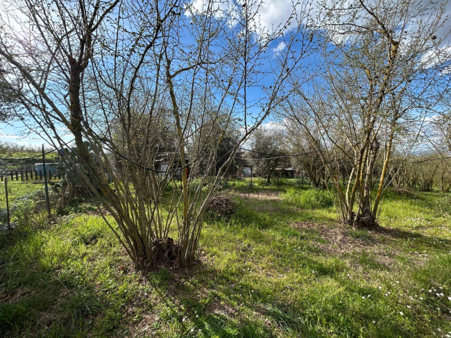 Agricultural Land for sale in Bassano in Teverina