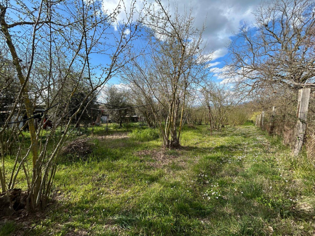 Agricultural Land for sale in Bassano in Teverina