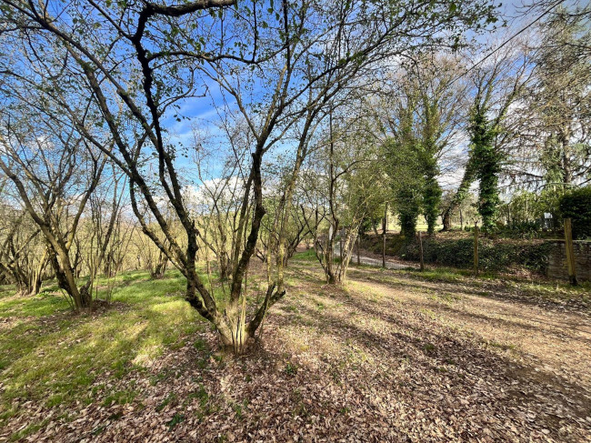 Agricultural Land for sale in Bassano in Teverina