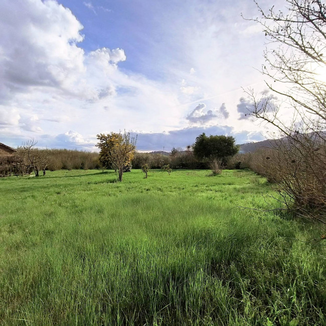 Agricultural Land for sale in Soriano nel Cimino