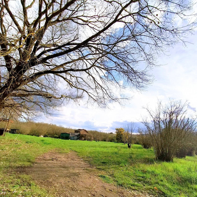 Agricultural Land for sale in Soriano nel Cimino