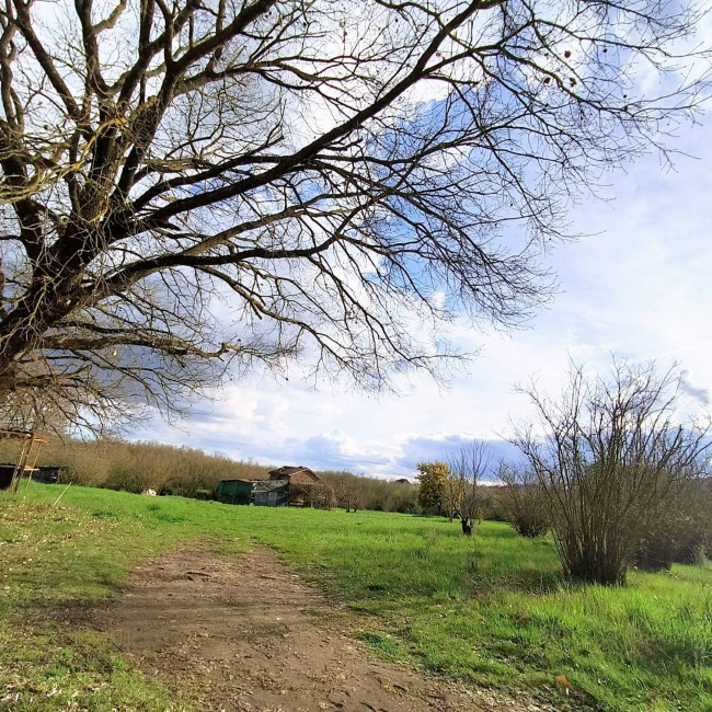 Agricultural Land for sale in Soriano nel Cimino