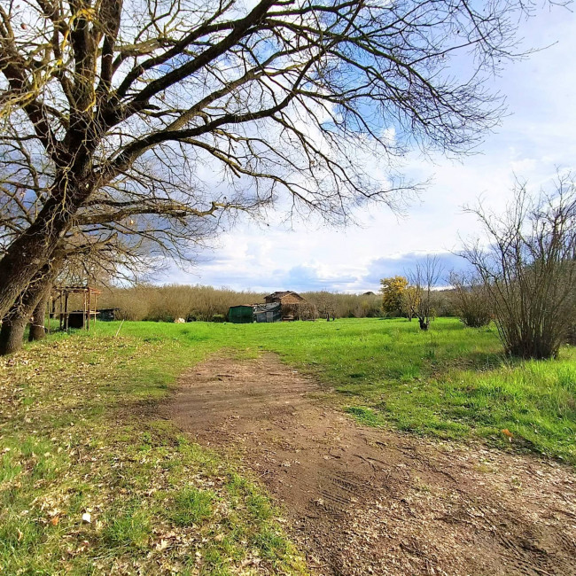 Agricultural Land for sale in Soriano nel Cimino