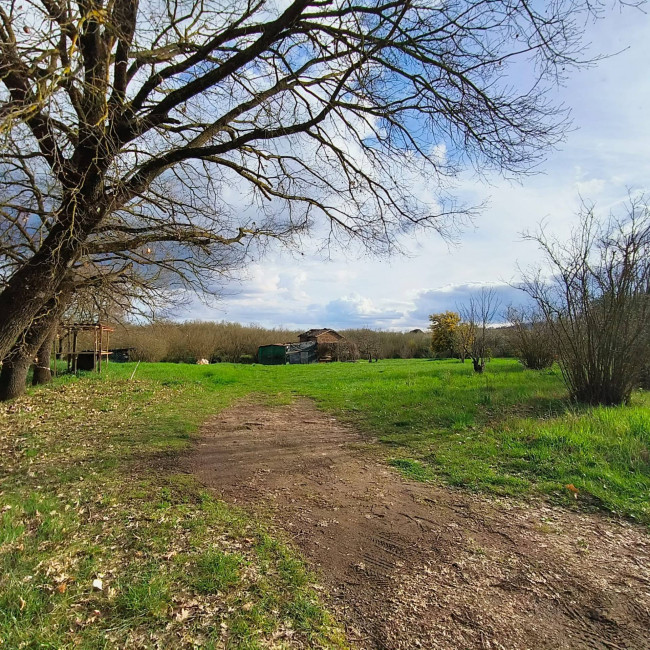 Agricultural Land for sale in Soriano nel Cimino