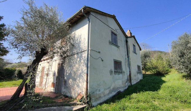 Homestead for sale in Amelia