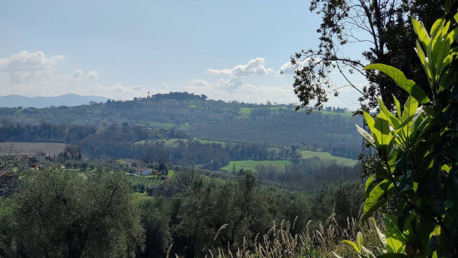 Homestead for sale in Amelia